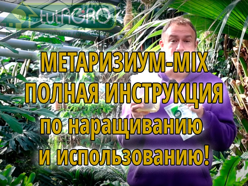 В этом видео вы получите полную инструкцию по наращиванию и использованию Метаризиума из закваски Метаризиум-Микс Выращивание Метаризиума из закваски Метаризиум-MIX