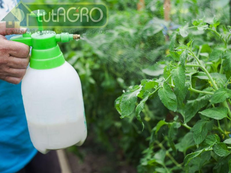 Делай раз, делай два, делай три! - AGROzen