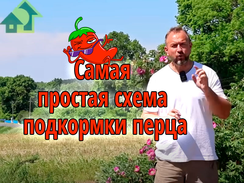 Перец: подкормка и уход. Перец первая подкормка. Перец вторая подкормка. Перец третья подкормка. Полейте этим перец для быстрого роста и увеличения урожая! Перец от А до Я
