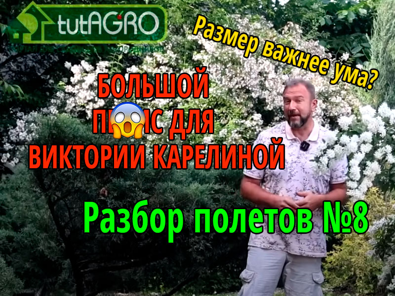 Порассуждаем о светлом и темном в этом неогородном видео. У кого больше? Размер - маркер правоты?