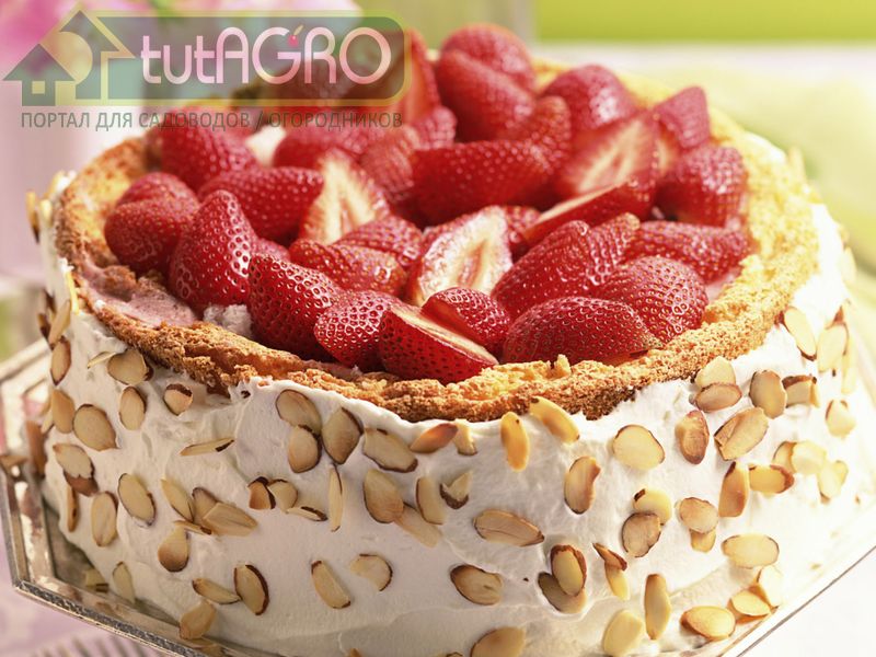 Клубничный нежный торт - AGROzen