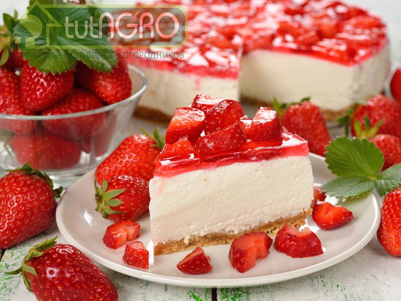 Клубничное изобилие - AGROzen