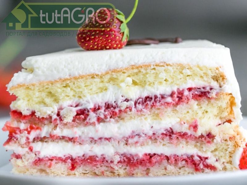 Сырно-кремовый торт с клубникой - AGROzen