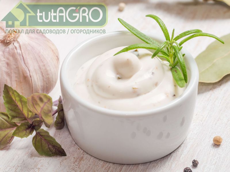 Острый чесночный соус  -AGROzen