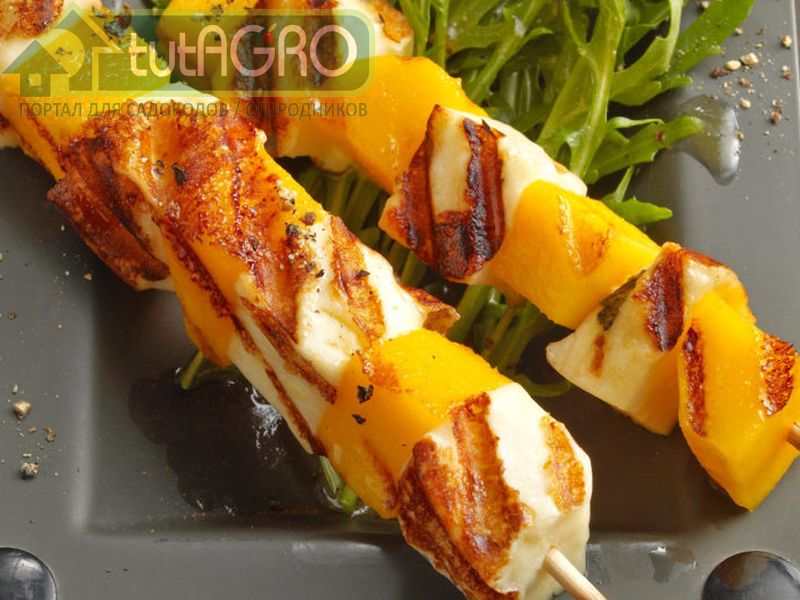 Шашлык с козьем сыром и сливочно-горчичном соусе - AGROzen