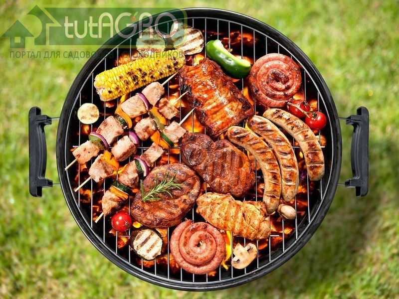 Пора на шашлыки! - AGROzen