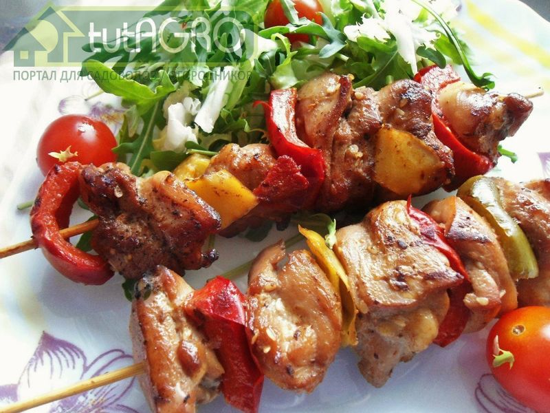 Шашлык мясной с соусами - AGROzen