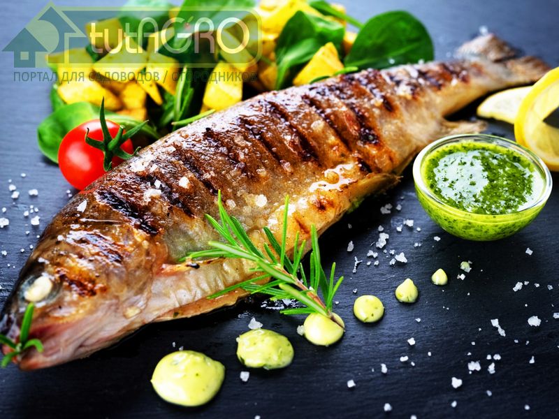 Шашлык с рыбой - AGROzen