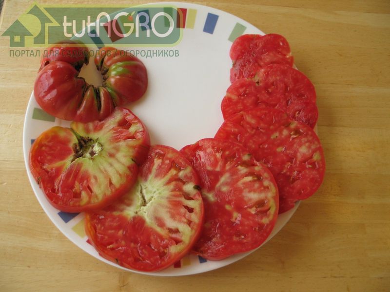 Применение доксициклана - крайняя мера - AGROzen