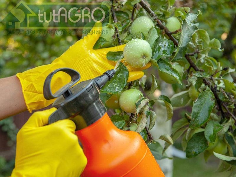 Хватит химичить - AGROzen