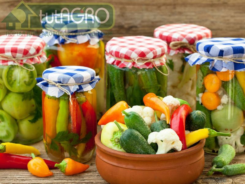 Радости лета - AGROzen