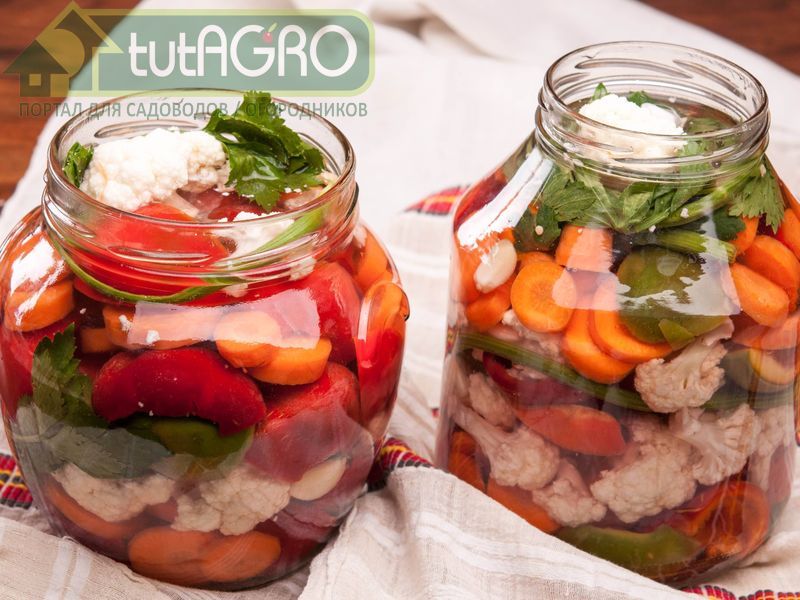 Салат «Радости лета» - AGROzen