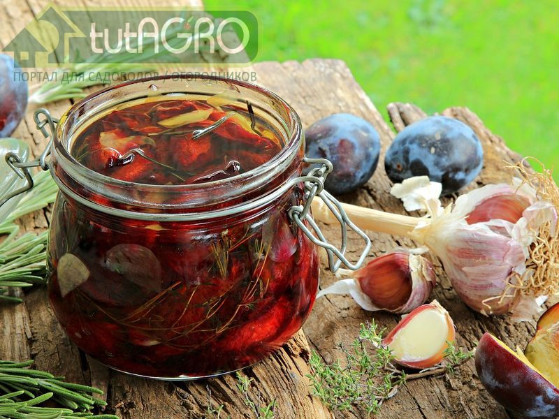Маринованная слива с чесноком - AGROzen