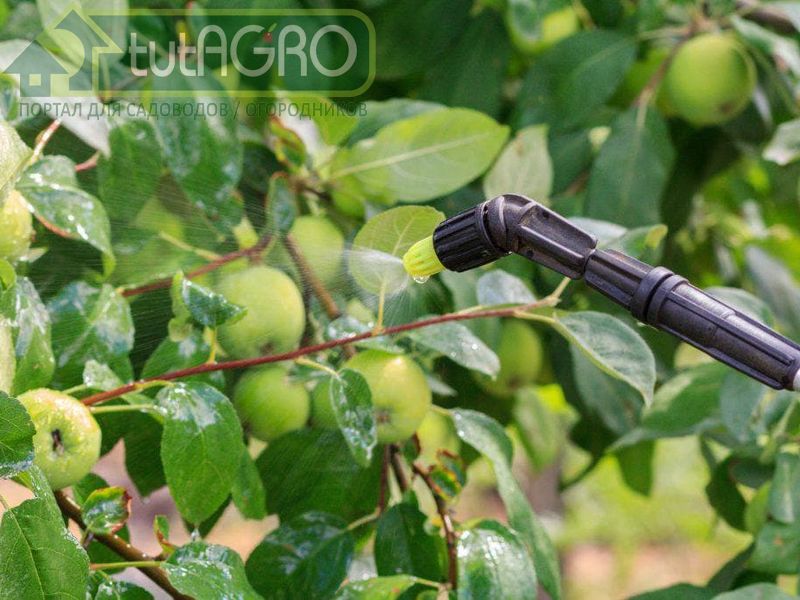 Летняя санация сада - AGROzen