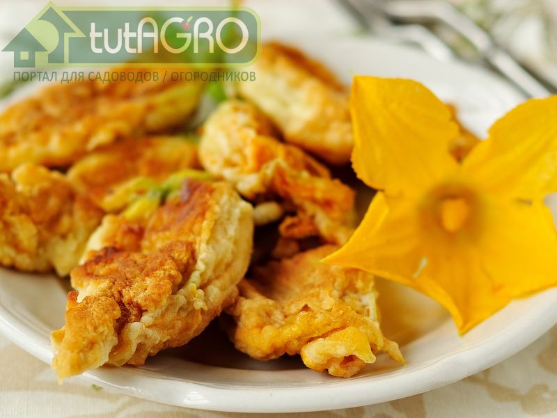 Цуккини цветы - AGROzen
