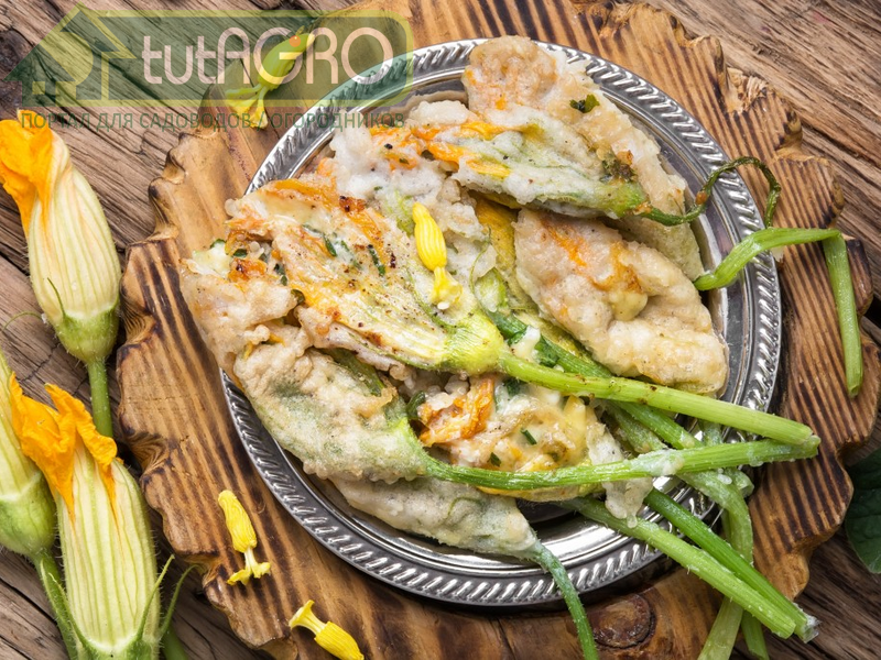 Необычные блюда из кабачков - AGROzen