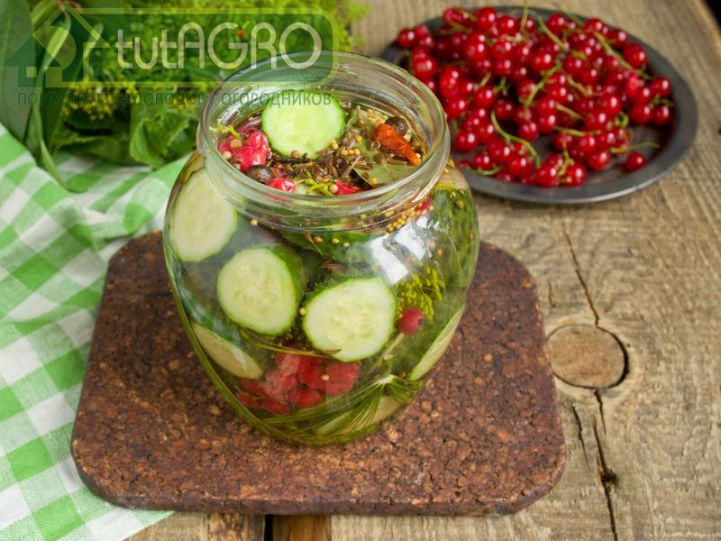 Огурцы вкусно и оригинально - AGROzen