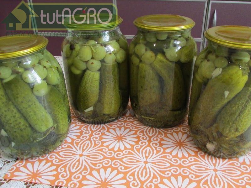 Маринованные огурчики с крыжовником - AGROzen