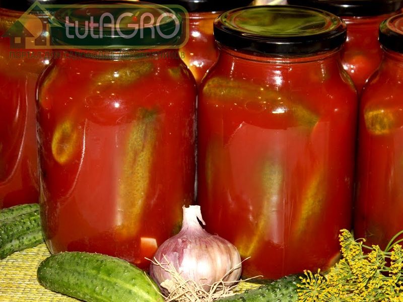 Огурцы в остром томатном соусе - AGROzen