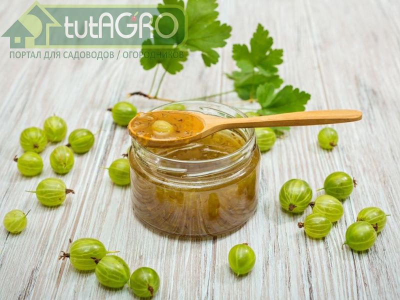 Желе с крыжовником - AGROzen