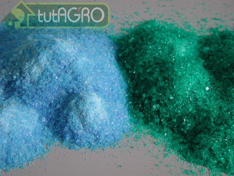 Раствор не подлежит хранению, его надо использовать сразу же после приготовления - AGROzen