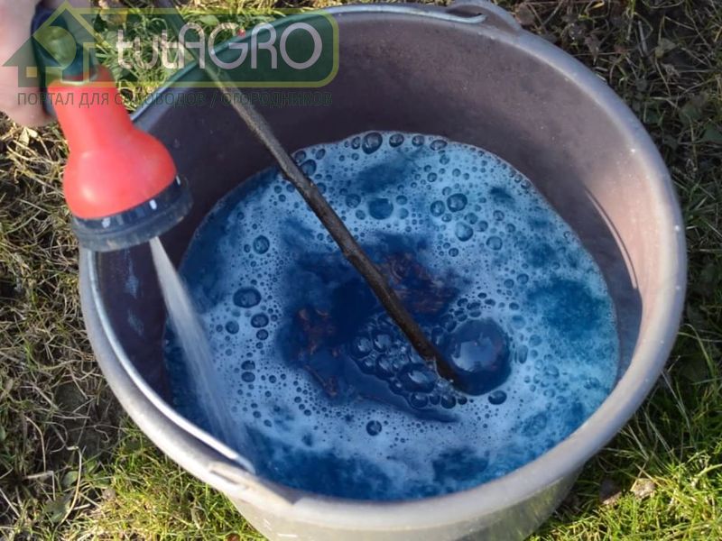 Этот раствор является вполне самодостаточным - AGROzen