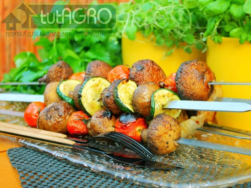 Шашлык с грибами - AGROzen