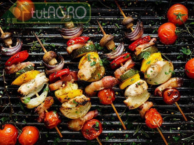 Рецепты пикантных шашлычков - AGROzen