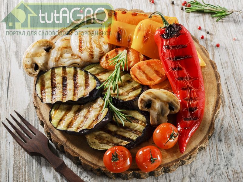 Шашлык с овощами по-средиземноморски - AGROzen