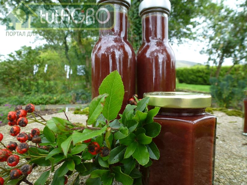 Кетчуп из боярышника - AGROzen