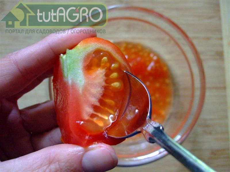 Собирая собственные семена, всегда можно быть уверенным в их качестве и отсутствии заболеваний - AGROzen