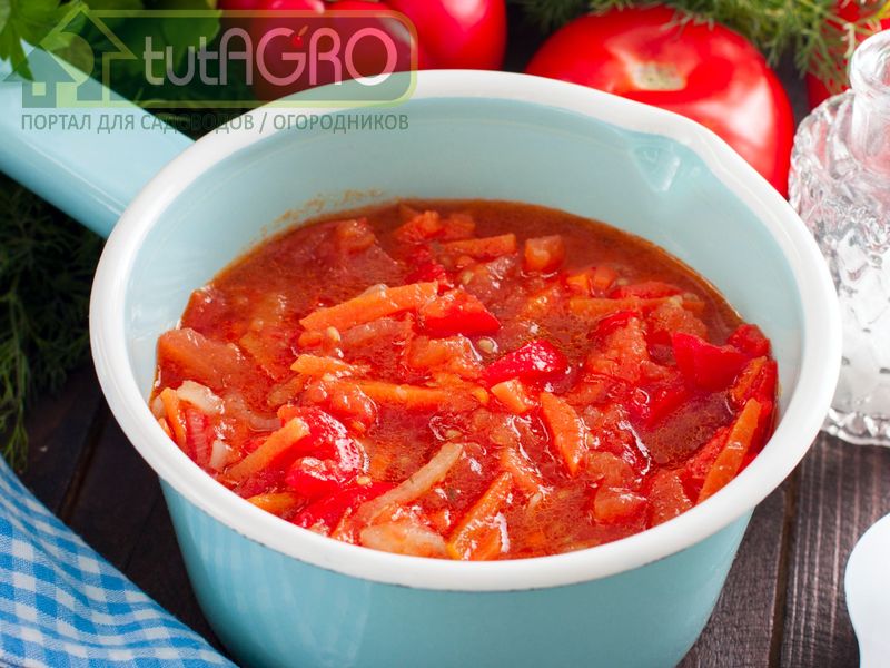 Лечо с томатным соком - AGROzen