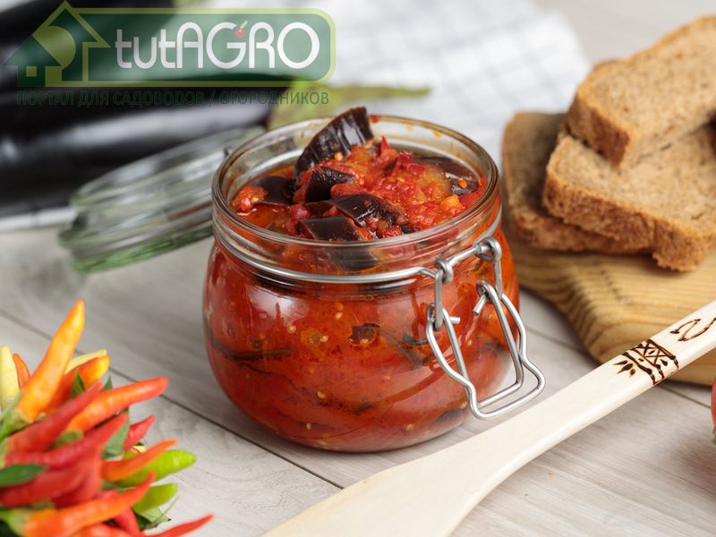 Баклажаны в томатном соусе - AGROzen