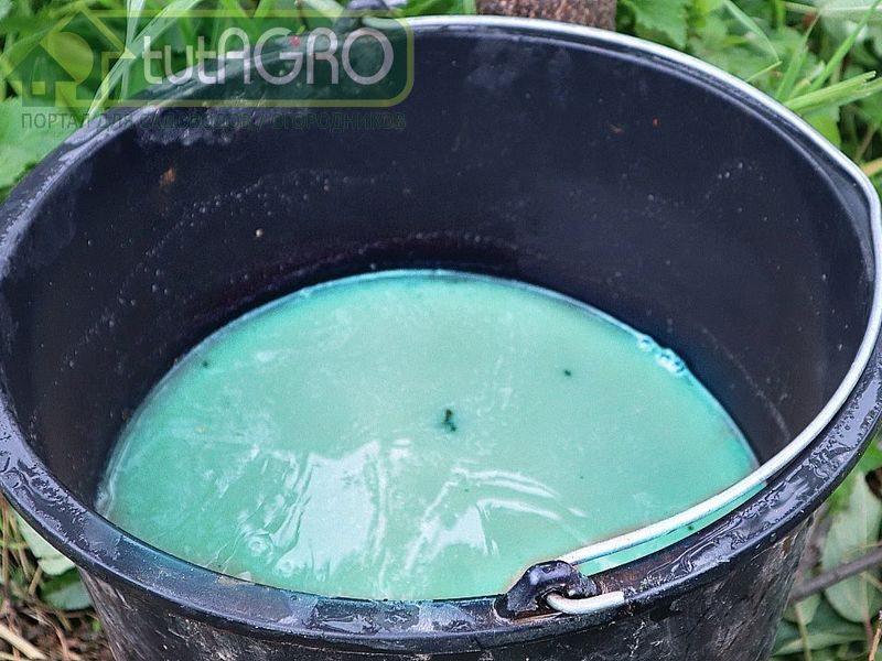 Зеленый раствор для малины - AGROzen