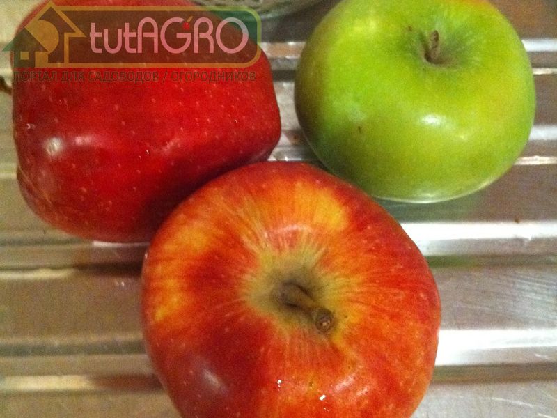 Можно использовать яблоко для наращивания триходермы - AGROzen