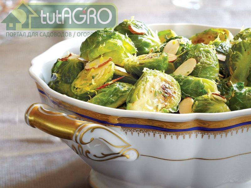 Салат с брюссельской капустой и горошком - AGROzen