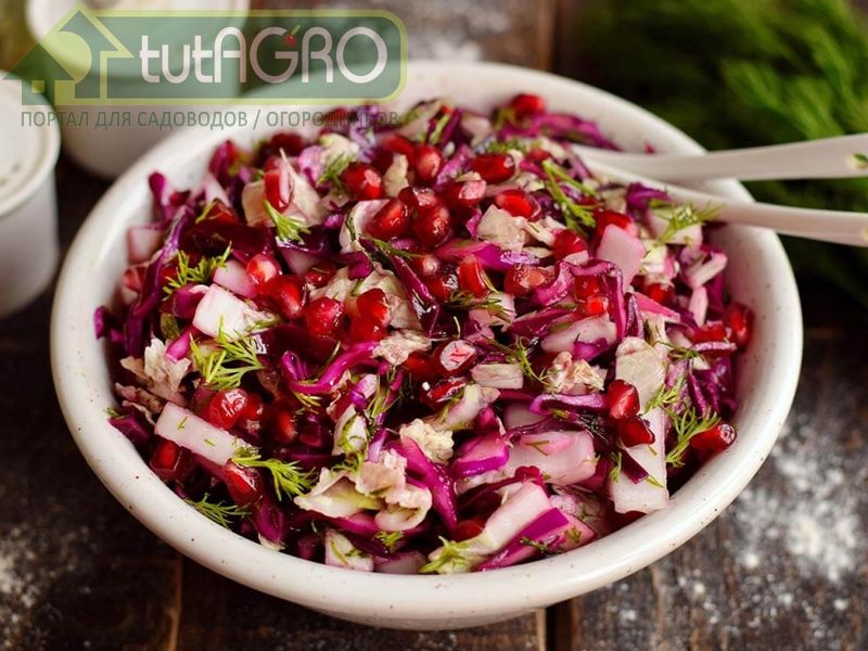 Салат из краснокочанной и цветной капусты - AGROzen