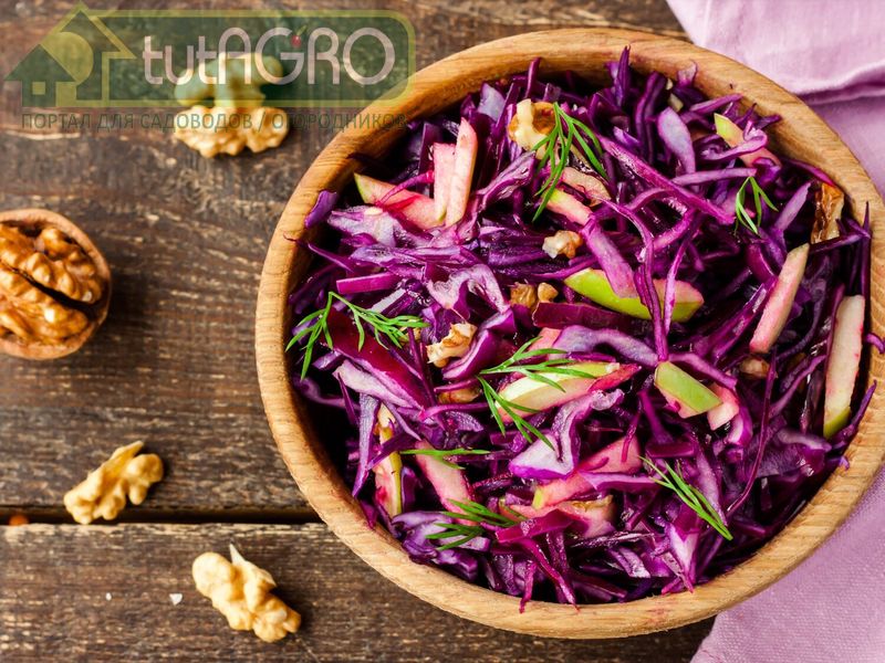Салат из краснокочанной капусты с яблоками и орехами - AGROzen