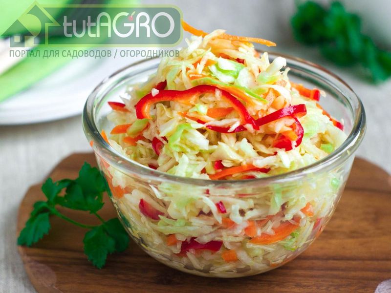 Капуста и в праздники, и будни - AGROzen