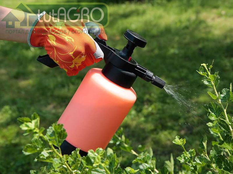 Меры борьбы c коккомикозом Меры борьбы c коккомикозом - AGROzen
