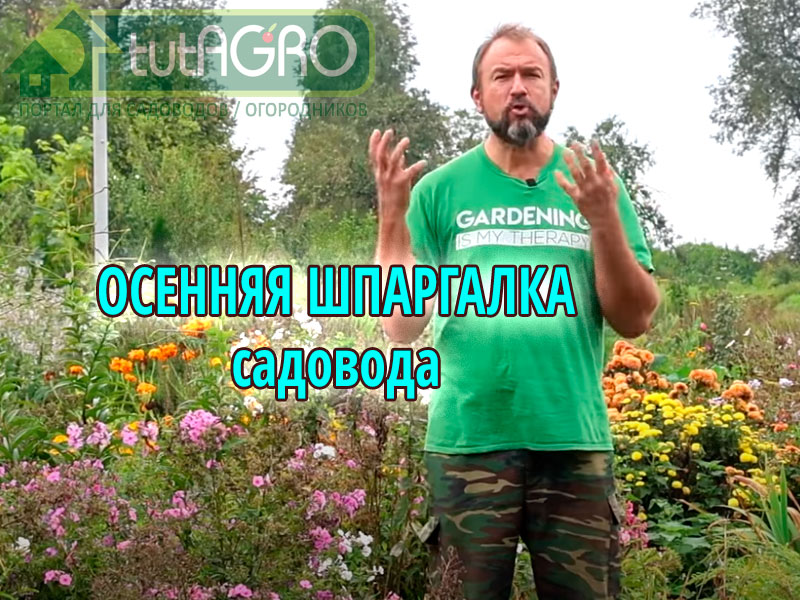 В сегодняшнем выпуске Иван Русских расскажет о восьми шагах к отличной перезимовке вашего сада. Восемь самых важных дел в саду осенью