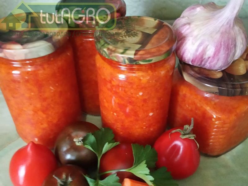 Из моркови и помидоров - AGROzen