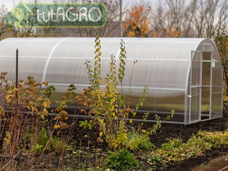 Генеральная уборка - AGROzen