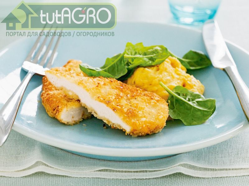 Куриный шницель - AGROzen