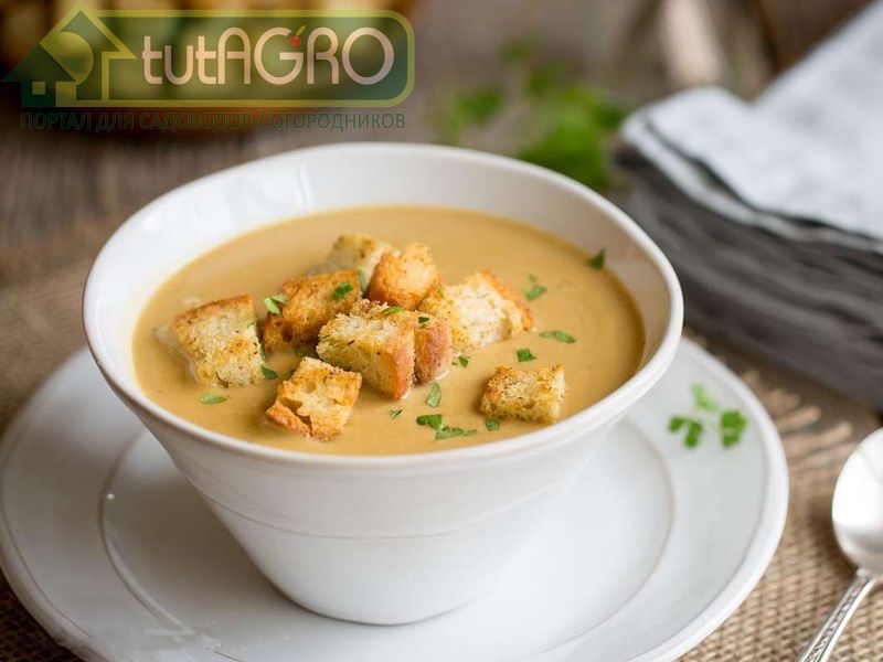 Суп-пюре с овощами - AGROzen