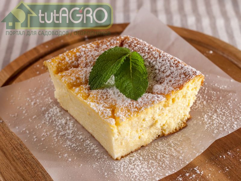 Творожная запеканка - AGROzen