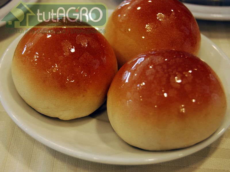 Паровые булочки - AGROzen