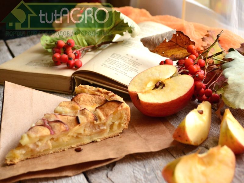 Десерты осени - AGROzen