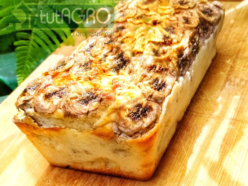 Запеканка «Экзотик фрут» - AGROzen