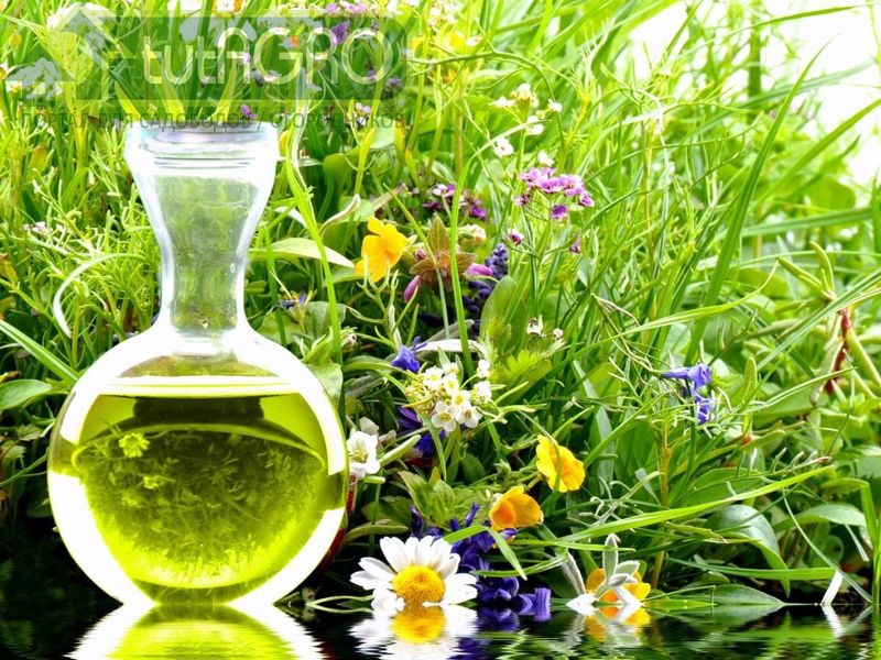 Эликсир для почвы - AGROzen